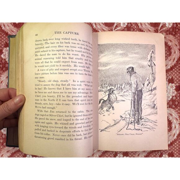 Silver Chief: Dog of the North by Jack O’Brien 1933 HC – School Edition - Picture 9 of 14